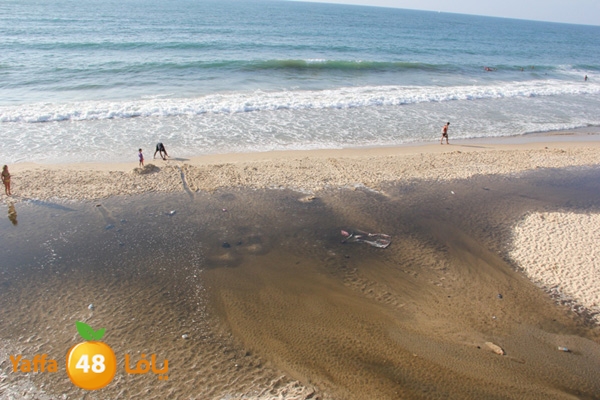 nakhom goldman majary (5).JPG